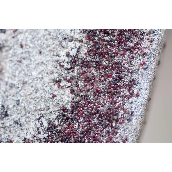 Ecostyle Roofmijt Tegen Bloedluis Bij Gevogelte 10.000 2 Ecostyle Roofmijt Tegen Bloedluis Bij Gevogelte 10.000 - Afbeelding 2