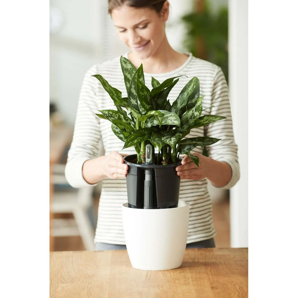 Elho Self-watering Insert 28 Living Black 2 Elho Self-watering Insert 28 Living Black - Afbeelding 2