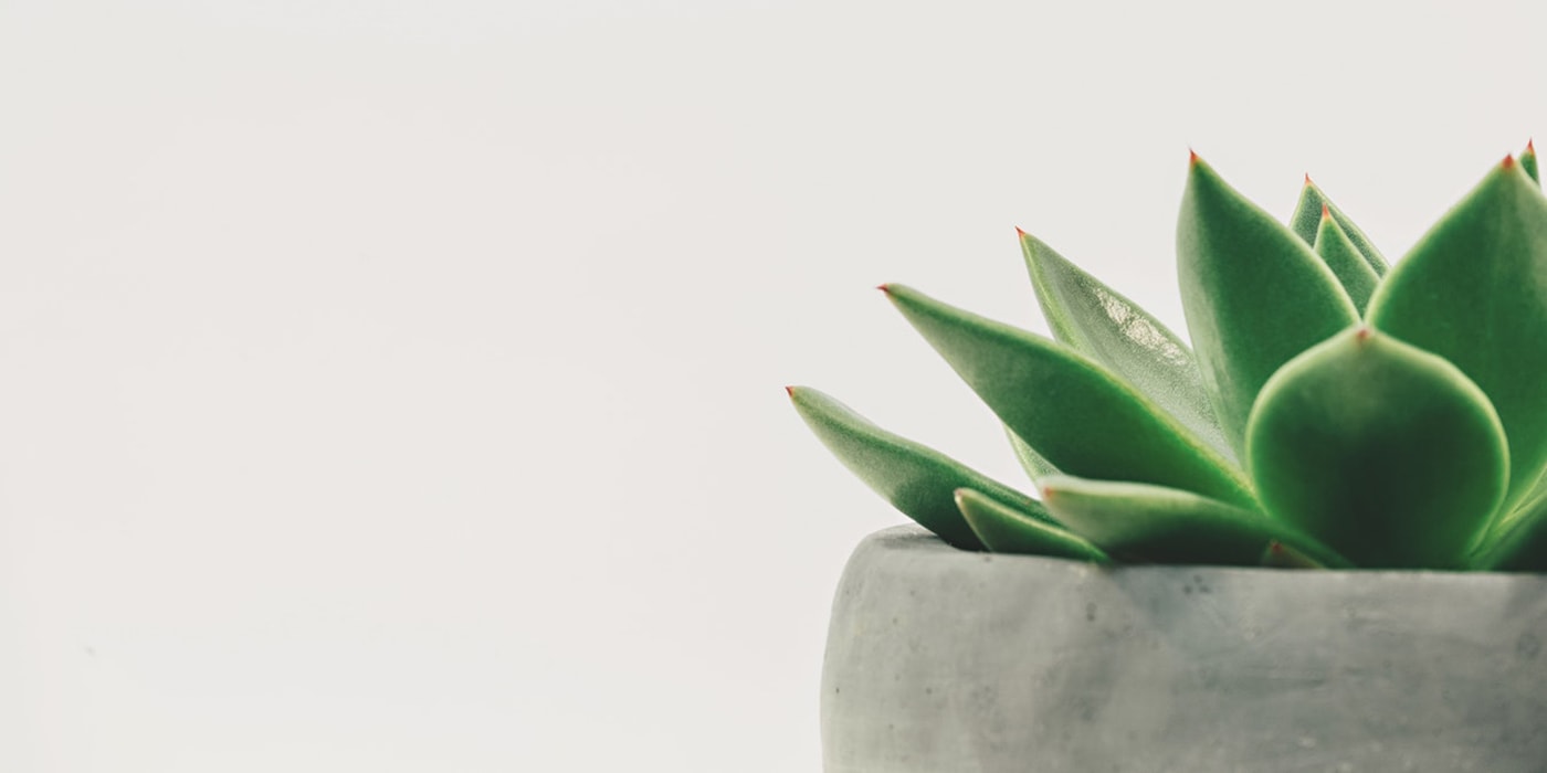 Tuin Thuis Verkoop -Tuin Thuis Verkoop blog 13